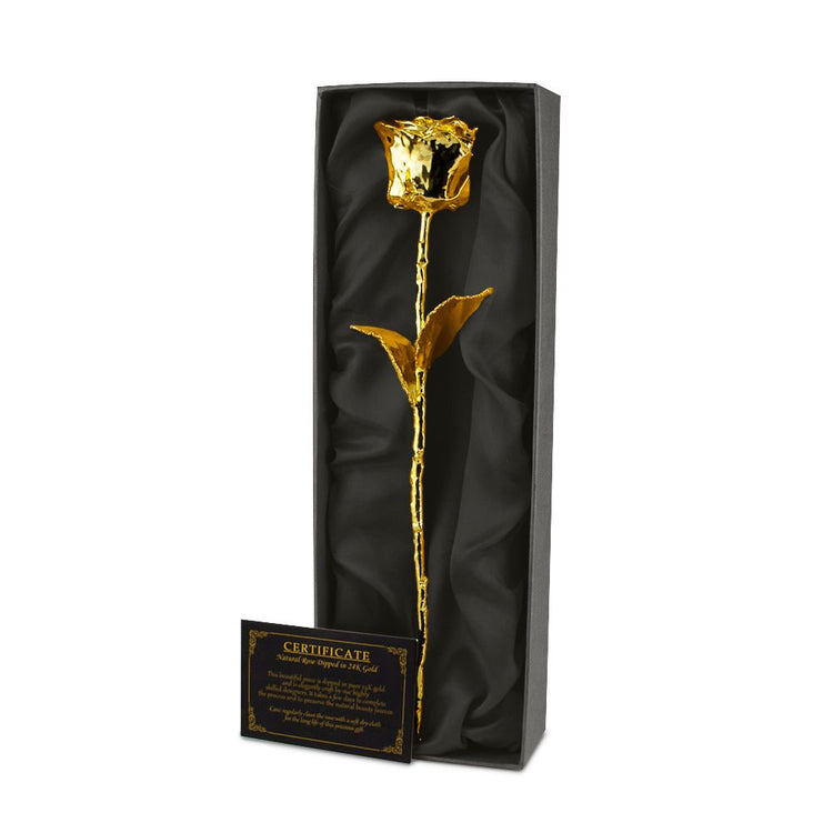 24 K Goldene Rose