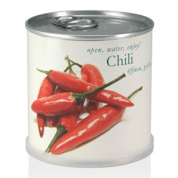 Chili aus der Dose