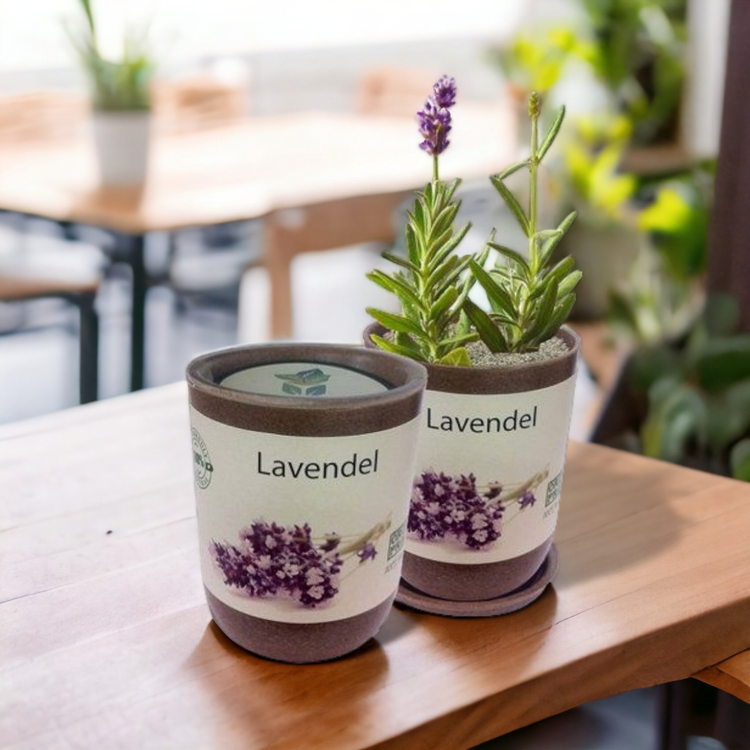 EcoCan Lavendel