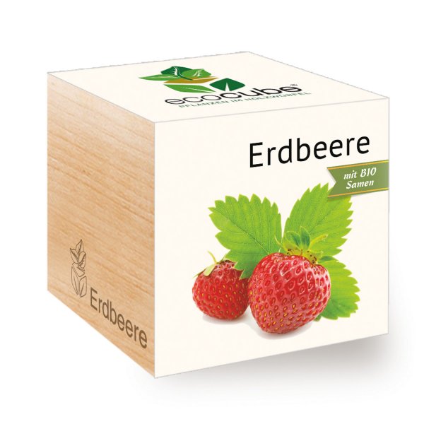 EcoCube Erdbeere