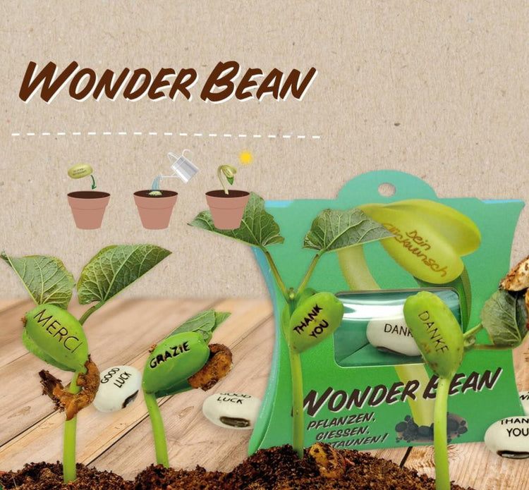 WonderBean Viel Glück