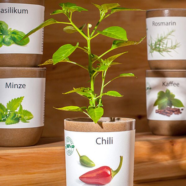 EcoCan Chili