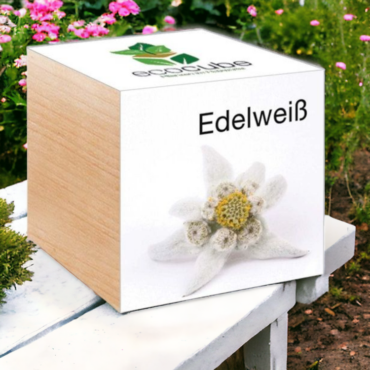 EcoCube Edelweiß