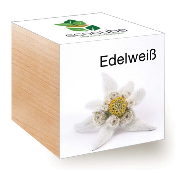 EcoCube Edelweiß