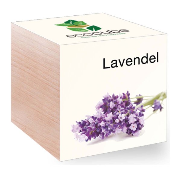 EcoCube Lavendel