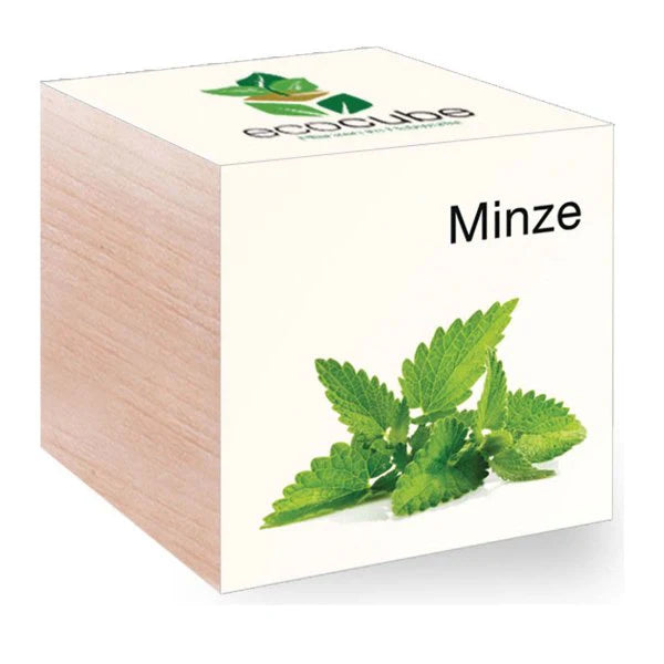 EcoCube Minze