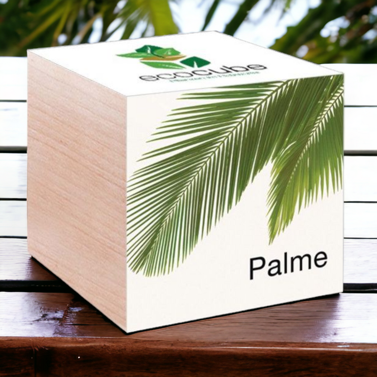 EcoCube Palme