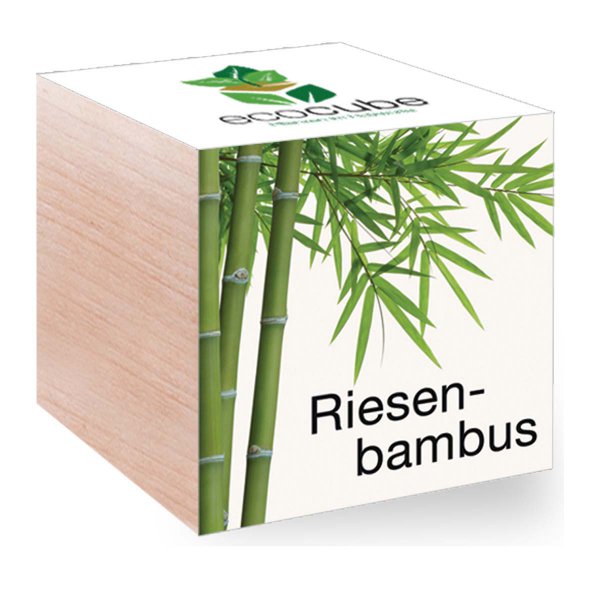 EcoCube Riesenbambus