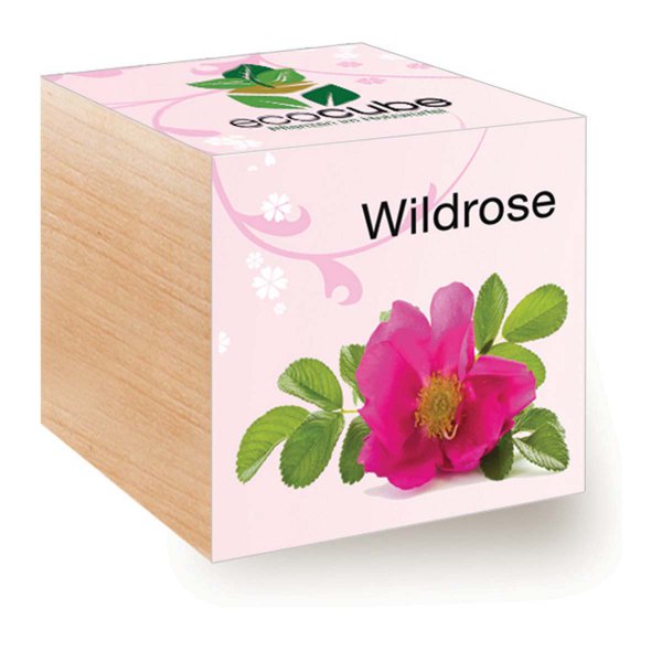 EcoCube Wildrose